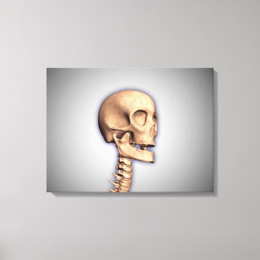 人間のスカルと脊髄の概念図2 キャンバスプリント (正面)