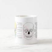 人間のスカルの前部の図表を完了して下さい コーヒーマグカップ (中央)