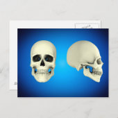 人間のスカルの正面図と側面図 ポストカード (正面/裏面)