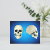 人間のスカルの正面図と側面図 ポストカード (スタンド正面)