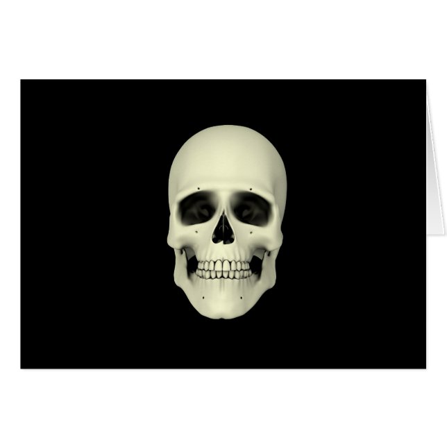 人間のスカル (正面横)