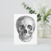 人間のスケッチの正面スカル ポストカード (スタンド正面)