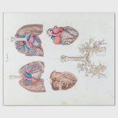 人間のハートおよび肺のヴィンテージの解剖学 ラッピングペーパー (フラット)