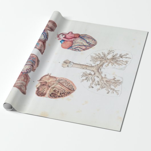 人間のハートおよび肺のヴィンテージの解剖学 ラッピングペーパー (アンロールド)