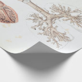 人間のハートおよび肺のヴィンテージの解剖学 ラッピングペーパー (角)