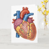 人間のハートの肉眼解剖学 カード (黄色い花)