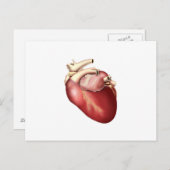 人間のハートイラストレーション ポストカード (正面/裏面)