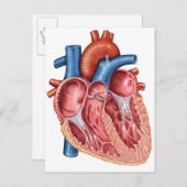 人間のハートインテリア ポストカード (正面/裏面)