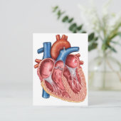 人間のハートインテリア ポストカード (スタンド正面)