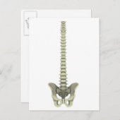 人間のバックボーンの概念図1 ポストカード (正面/裏面)