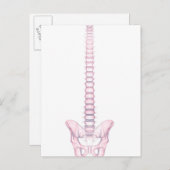 人間のバックボーンの概念図2 ポストカード (正面/裏面)