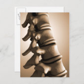 人間のバックボーンの概念図4 ポストカード (正面/裏面)