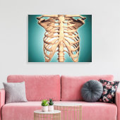 人間のリブケージのクローズアップ キャンバスプリント (インサイチュ (リビング))