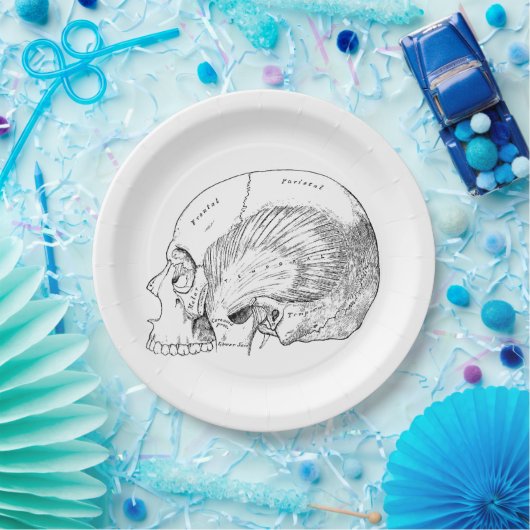 人間の一時的な筋肉を引くヴィンテージの解剖学 ペーパープレート (パーティー)