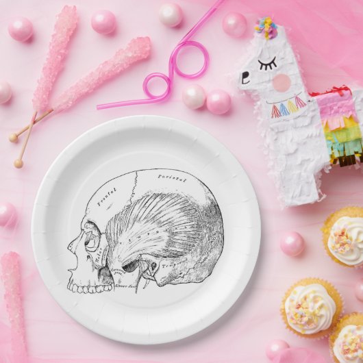 人間の一時的な筋肉を引くヴィンテージの解剖学 ペーパープレート (パーティー)