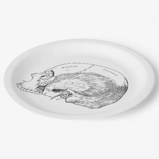 人間の一時的な筋肉を引くヴィンテージの解剖学 ペーパープレート (アングル)