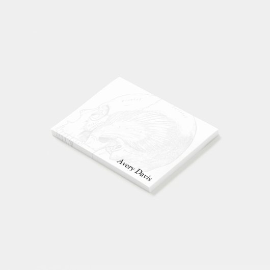 人間の一時的な筋肉を引くヴィンテージの解剖学 ポストイット (アングル)