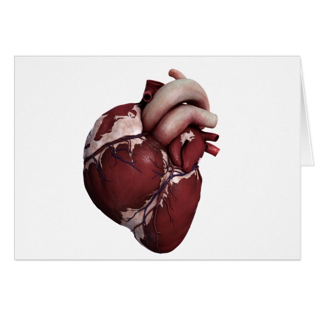 人間の三次元的なハートの正面 (正面横)