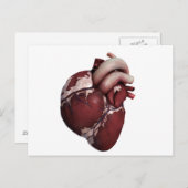 人間の三次元的なハートの正面 ポストカード (正面/裏面)