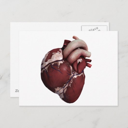 人間の三次元的なハートの正面 ポストカード (正面/裏面)