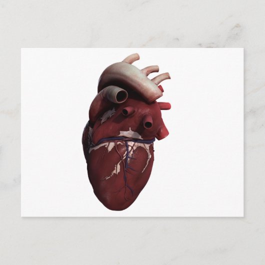 人間の三次元的なハートの見方の右 ポストカード (正面)