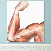 人間の二頭筋を示す曲げた腕のイラストレーション キャンバスプリント (インサイチュ (ウッドフロア))