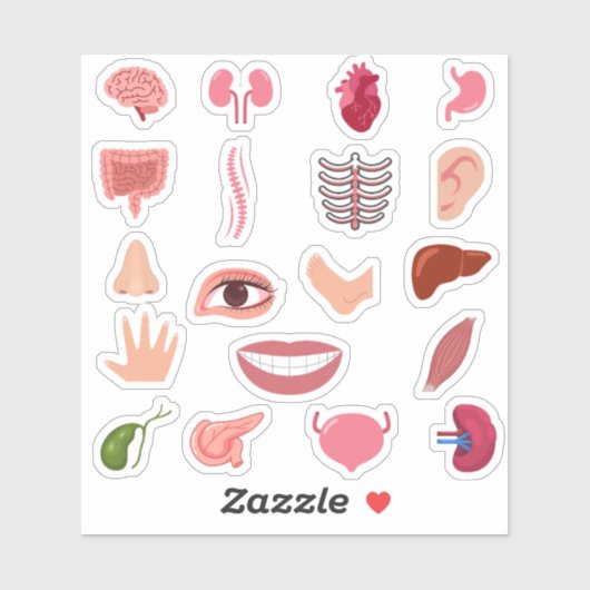 人間の体シール シール (シート)