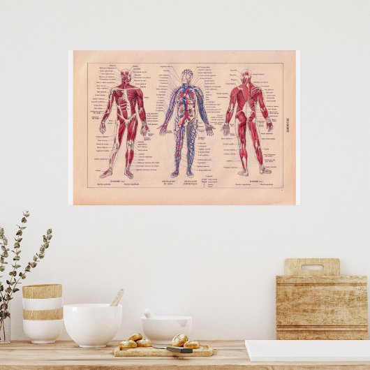 人間の体図， 1920フランスの#ヒトノシヨウジメイ# ポスター (キッチン)