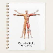 人間の体骨格筋メディカル