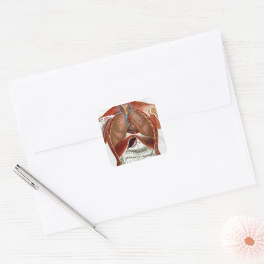 人間の体 スクエアシール (封筒)