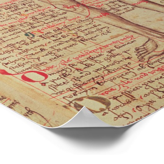 人間の体 ポスター (角)