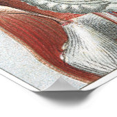 人間の体 ポスター (角)