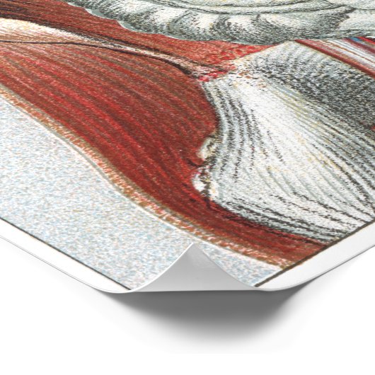 人間の体 ポスター (角)