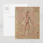 人間の体 ポストカード (正面/裏面)