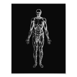 人間の体、男性の解剖学の黒と白 フォトプリント           
