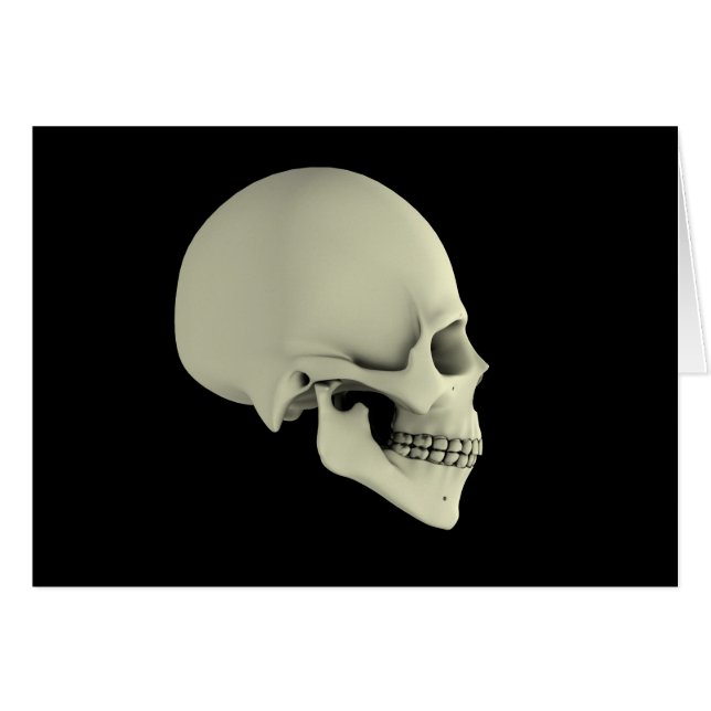 人間の側面図スカル (正面横)