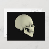 人間の側面図スカル ポストカード (正面/裏面)