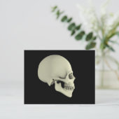 人間の側面図スカル ポストカード (スタンド正面)