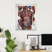 人間の内臓のパオロマスカニイラストレーション ポスター (ホームオフィス)