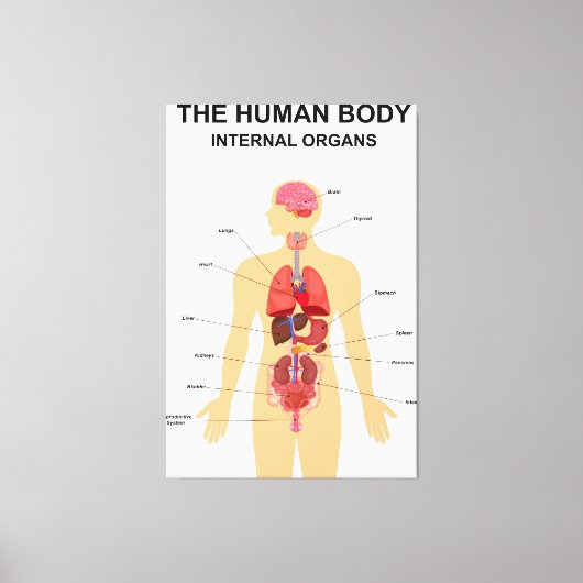 人間の内臓の体 キャンバスプリント (正面)