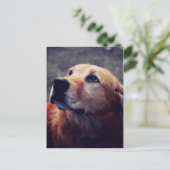 人間の友最高の人 ポストカード (スタンド正面)