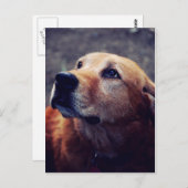 人間の友最高の人 ポストカード (正面/裏面)