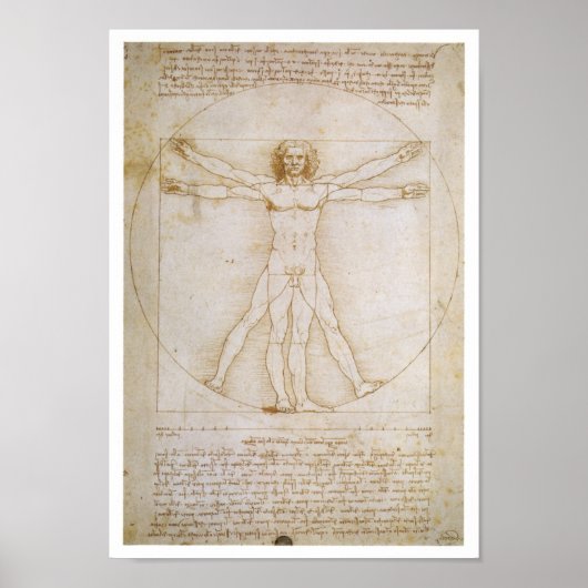 人間の姿，割合を示す ポスター (正面)