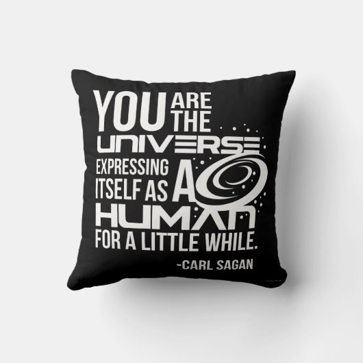 人間の宇宙 クッション (裏面)