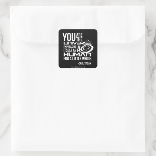 人間の宇宙 スクエアシール (バッグ)