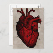 人間の心臓のポストカード ポストカード (正面/裏面)