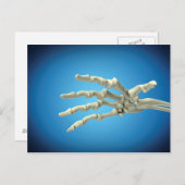 人間の手の骨の概念図1 ポストカード (正面/裏面)