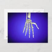 人間の手の骨の概念図2 ポストカード (正面/裏面)