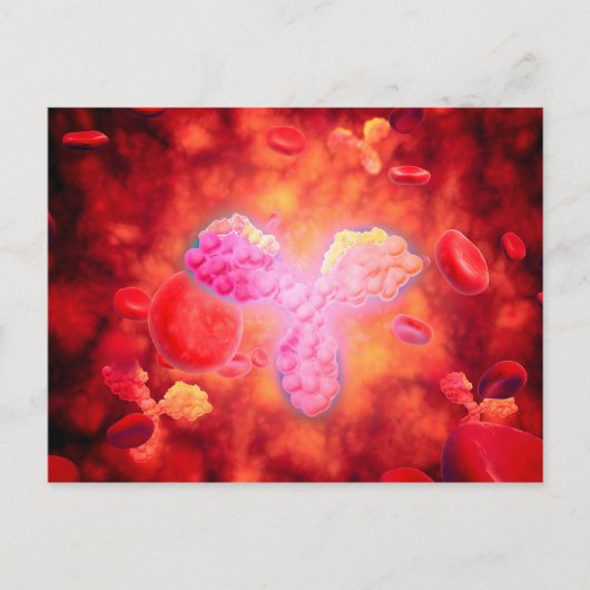 人間の抗体を顕微鏡で見た図 ポストカード (正面)