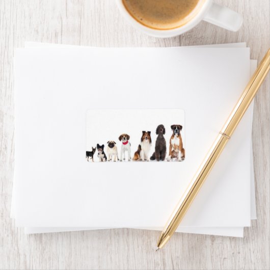 「人間の最高の友達よ」 ラベル (インサイチュ)